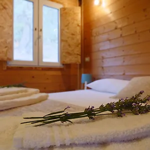 Fiori Di Camping